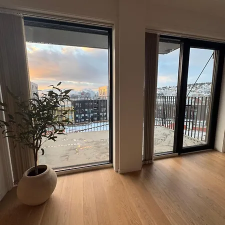 The Arctic Explorer Exclusive *