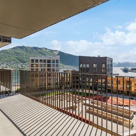 The Arctic Explorer Exclusive